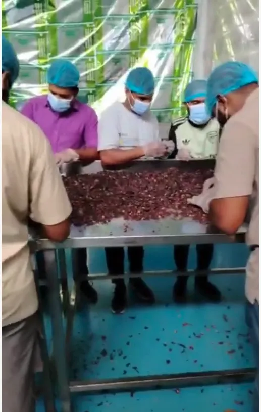 Hibiscus cleaning machines are efficiently contributing to industrial upgrading,