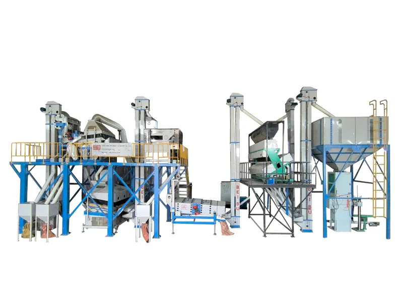 The installation of Ethiopian sesame bean production line is completed