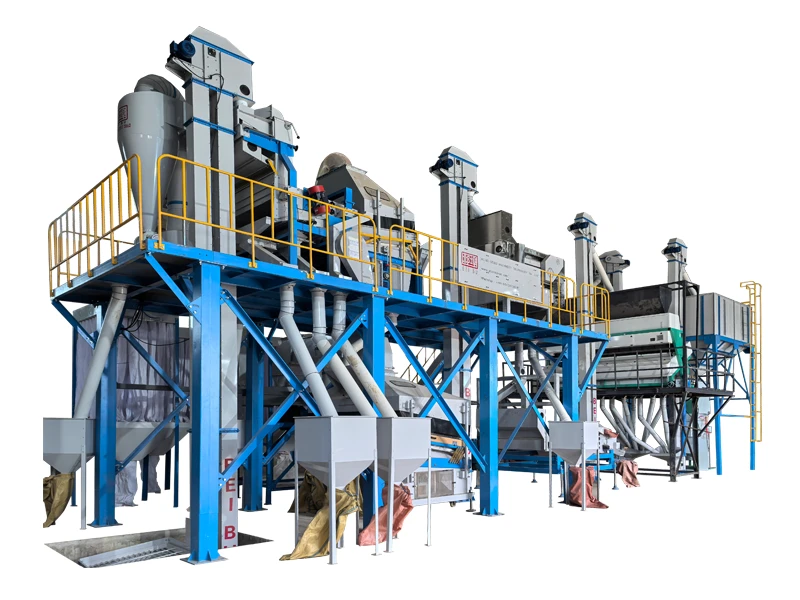 The installation of Ethiopian sesame bean production line is completed