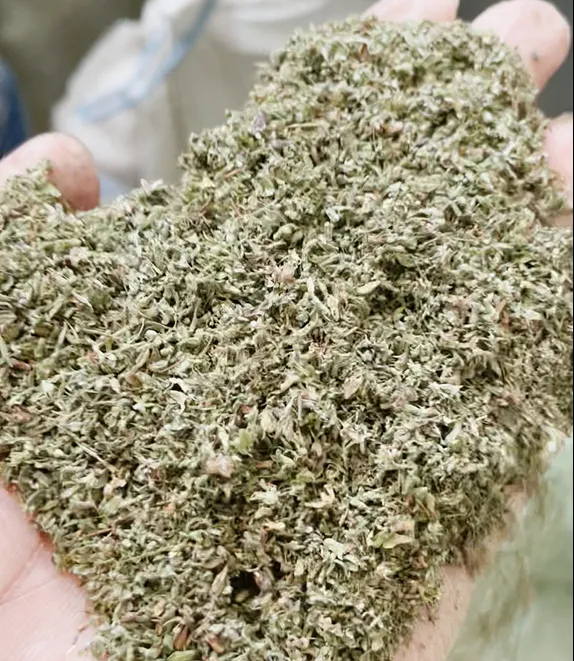 BEIBU's Trip to Egypt: Expanding Horizons in Grain and Herbs Cleaning Technology