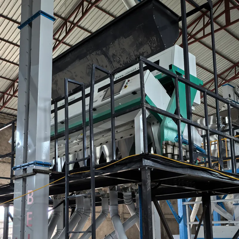 sesame and pulses cleaning line