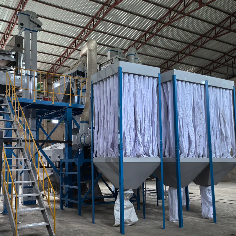 sesame and pulses cleaning line