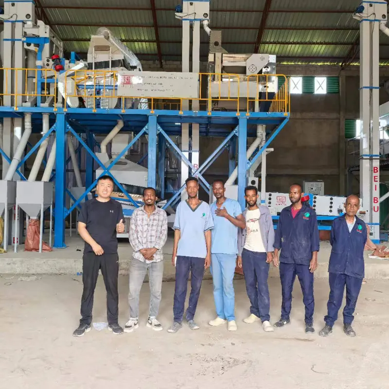 sesame and pulses cleaning line