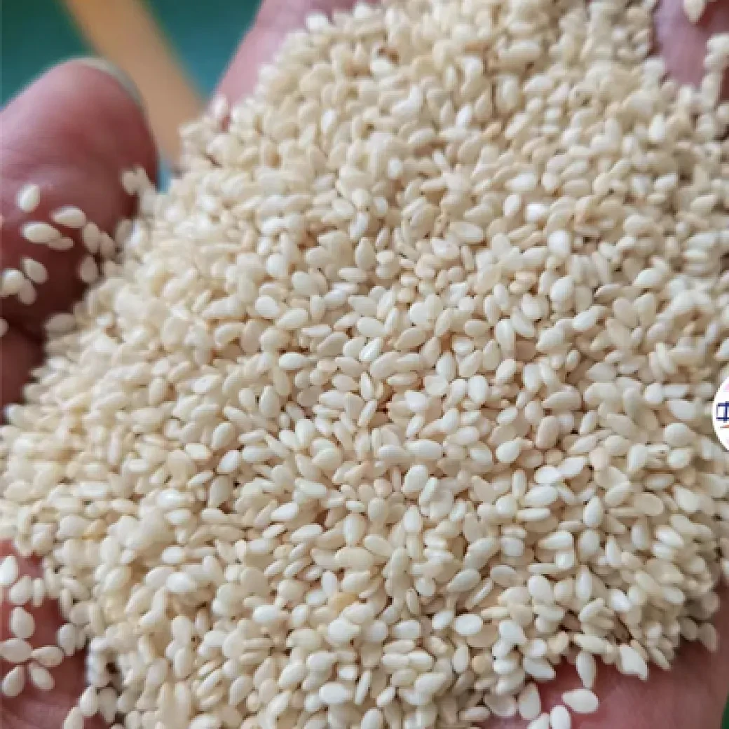 Sesame Peeling Machine