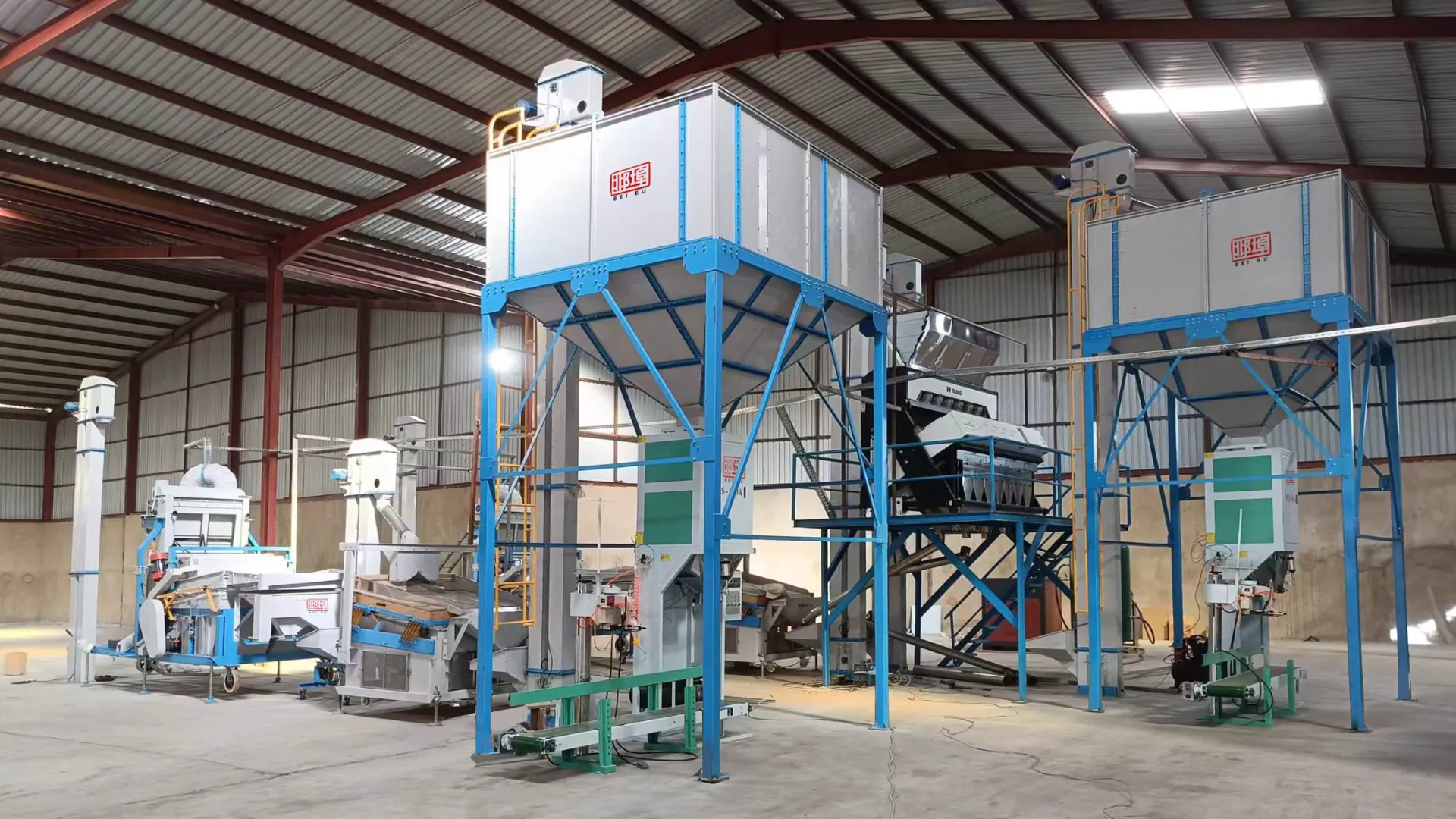 Sesame Cleaning Season is Coming — Equipment Insights & Tips