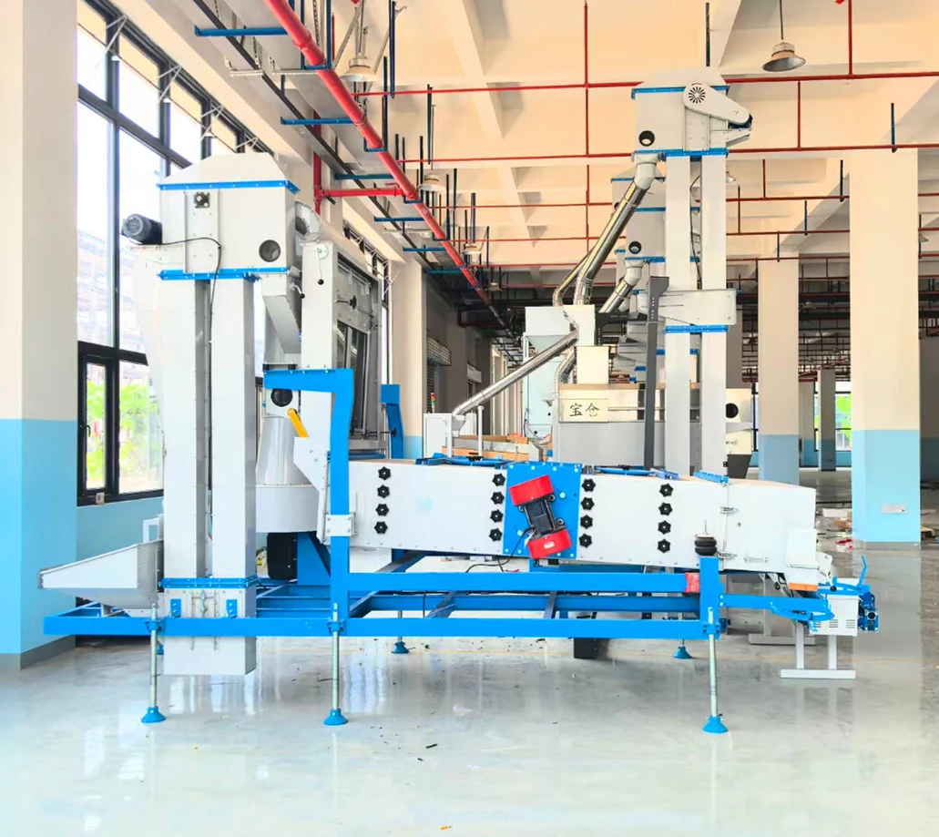 Understanding Cleaning Grading and Sorting: Global Impact & Innovations