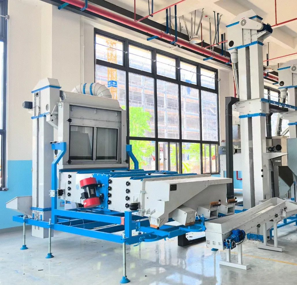 Understanding Cleaning Grading and Sorting: Global Impact & Innovations