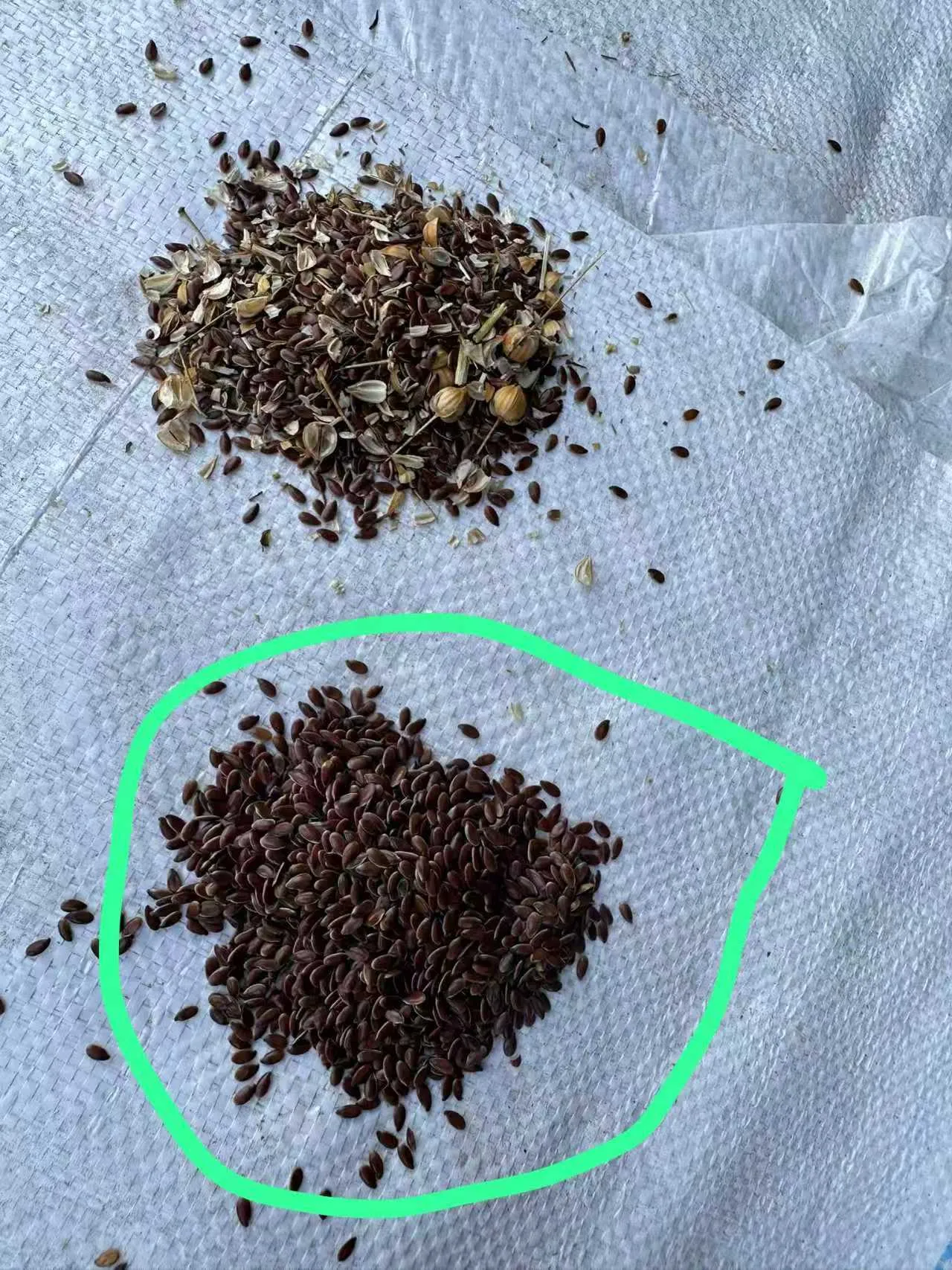 Flaxseed Cleaning Machine 5XFZ-25SC-Hebei Beibu Machinery Technology Co.,LTD