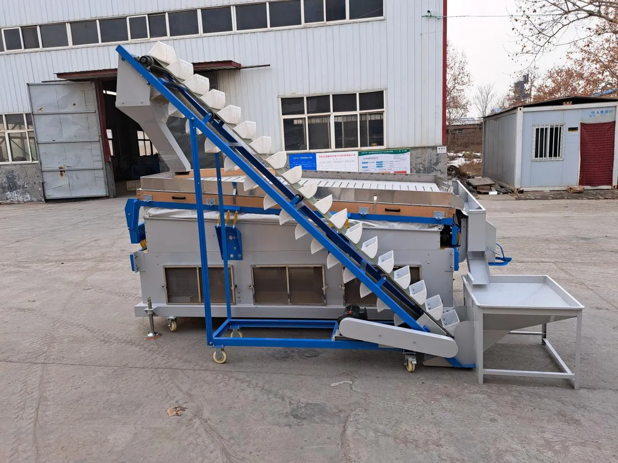 Grain Gravity Separator: A Key Machine for Efficient Grain Processing