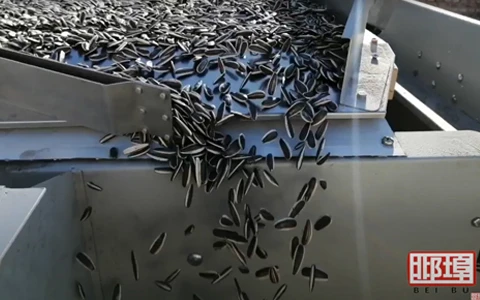 5XZ-8 Gravity Separator - Premium Cleaning Solution for Snack-Grade Sunflower Seeds