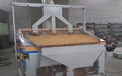 5QSC-10 Stone Remover - The Ultimate Solution for Maize Cleaning Excellence