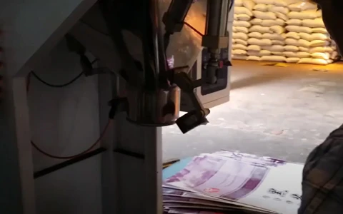 DCS-100A Packing Machine – Precision & Efficiency for Bulk Grain Packaging