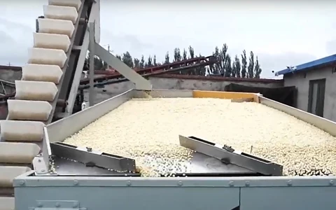 5XZ-8 Gravity Separator - Precision Maize Cleaning for Optimal Seed Quality