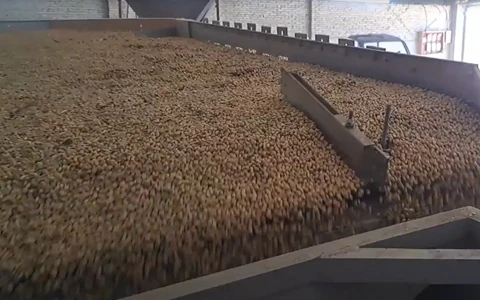 5XZ-8 Gravity Separator - Precision Cleaning Solution for Soybeans and Small Seeds