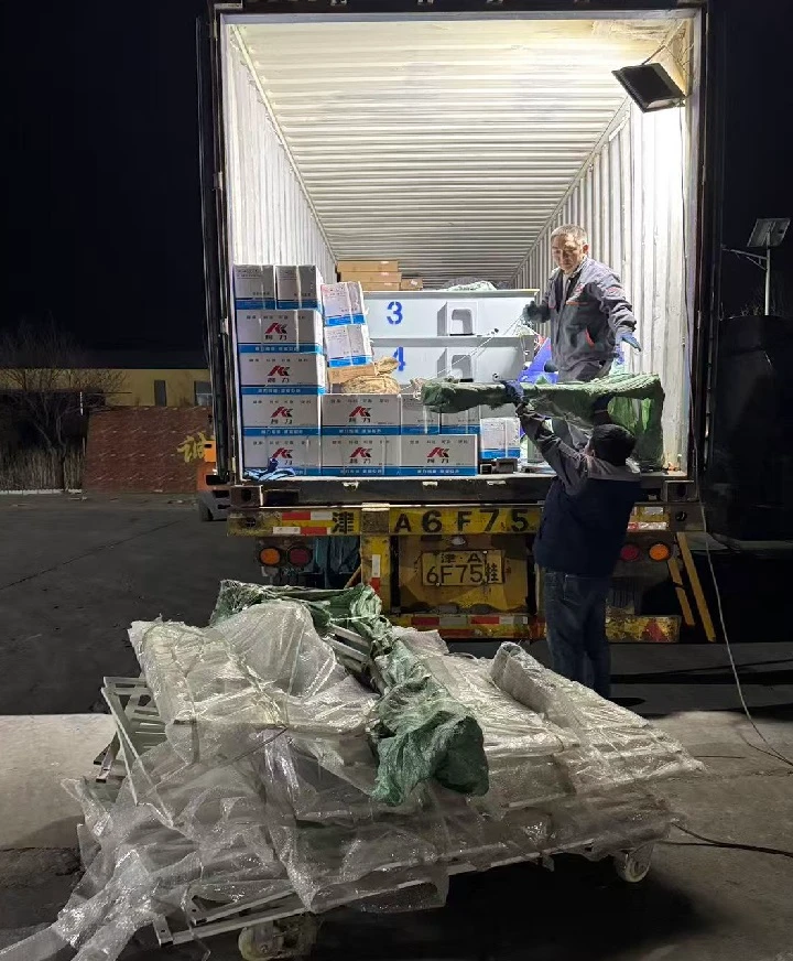 Unlocking the Agricultural Potential of West Africa: Advanced Oilseed Processing Lines from HEBEI BEIBU MACHINERY TECHNOLOGY CO.,LTD