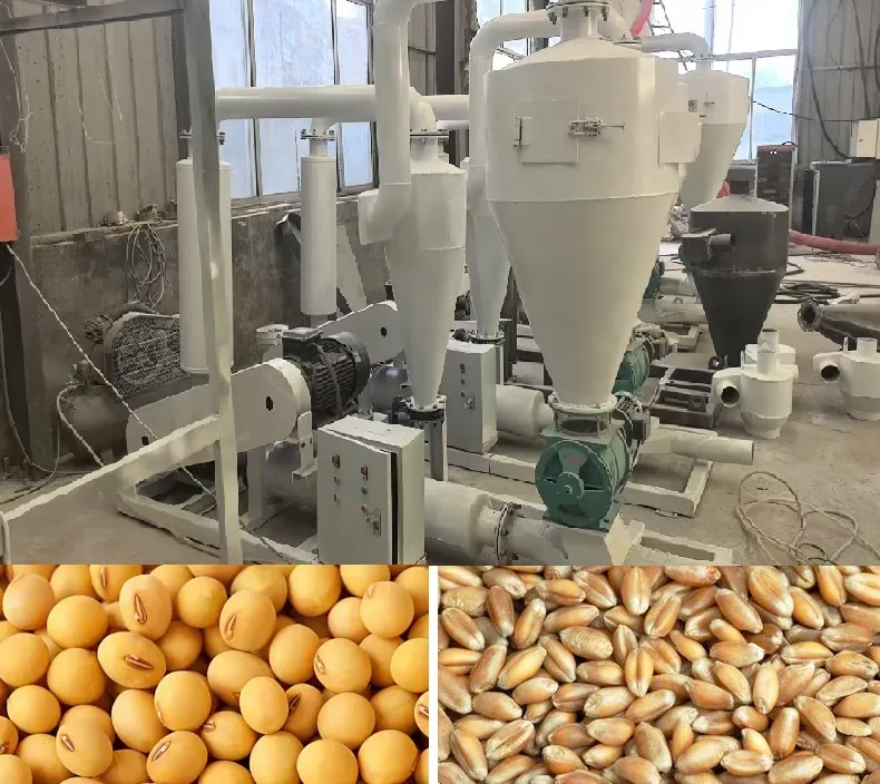 Comprehensive Guide to Grain Conveying Solutions