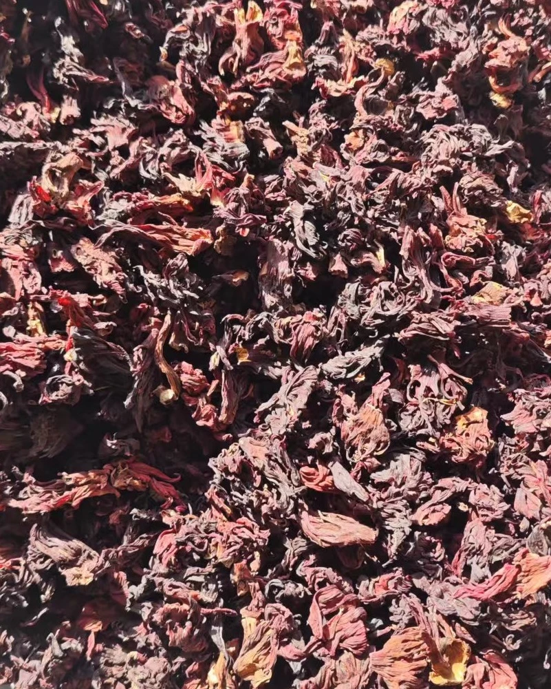 Hibiscus cleaning machines are efficiently contributing to industrial upgrading,