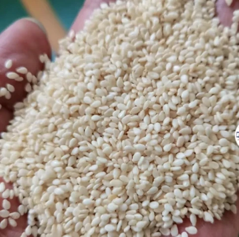 Sesame Peeling Machine: A Professional Equipment for Improving Sesame Processing Efficiency