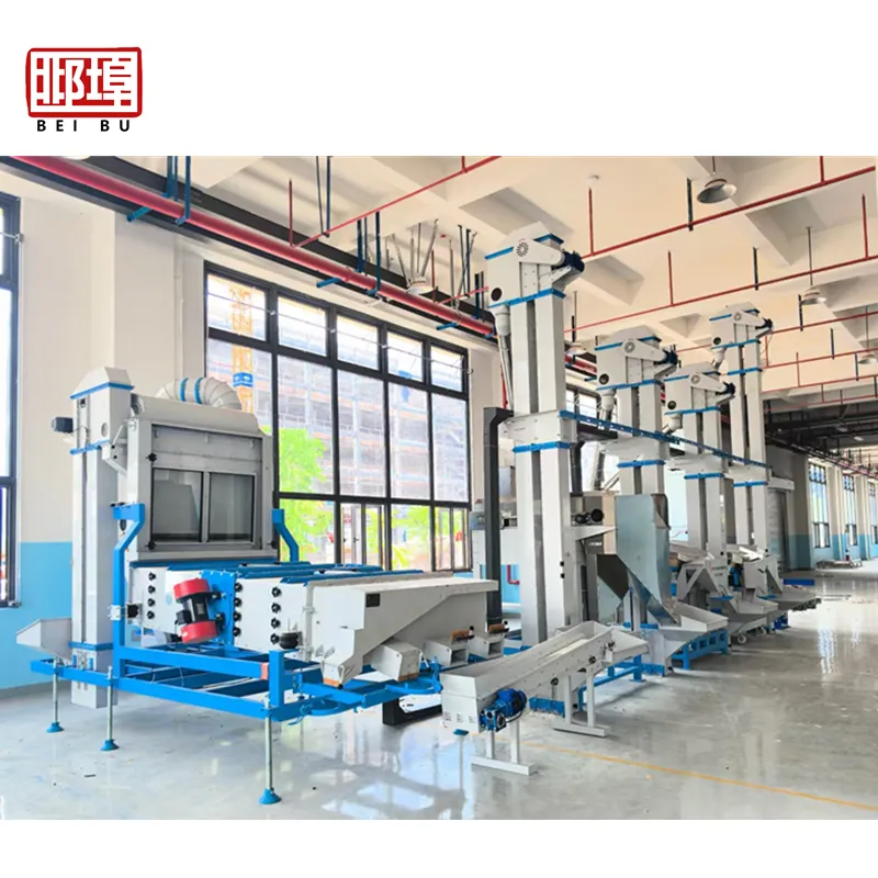 Efficient Coffee Beans Cleaning Line Installation | Industry Insights