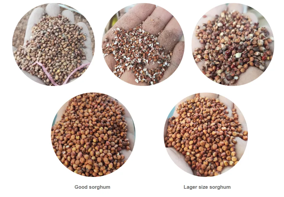 Maize Cleaning Machine