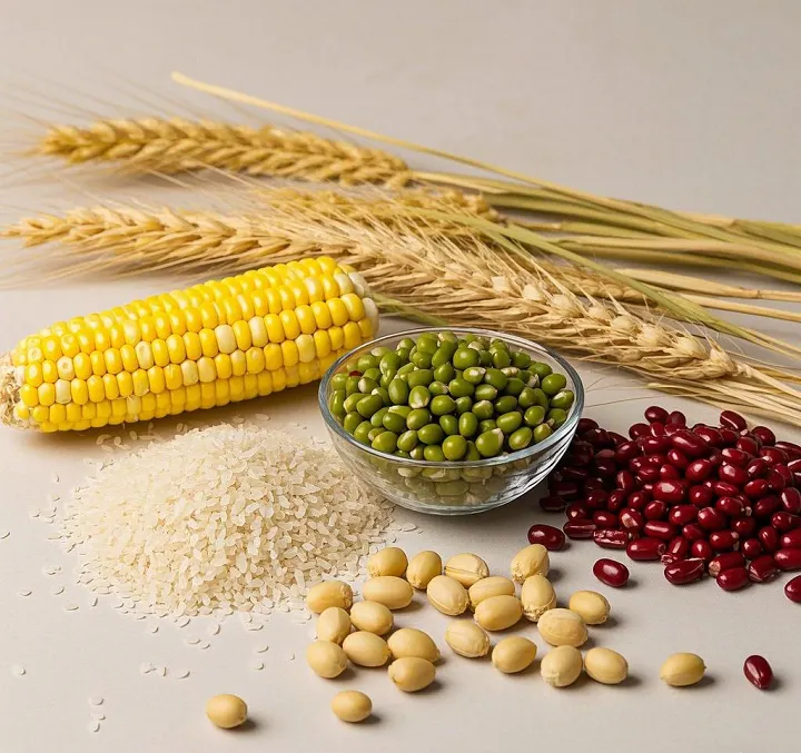 How to choose a high-quality grain seed cleaning machine - Beibu Machinery answers your questions