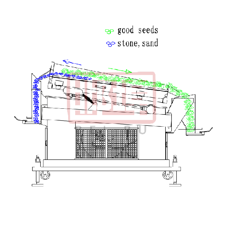 What to do if grain seeds contain high stone content? - Beibu Machinery solves your problems