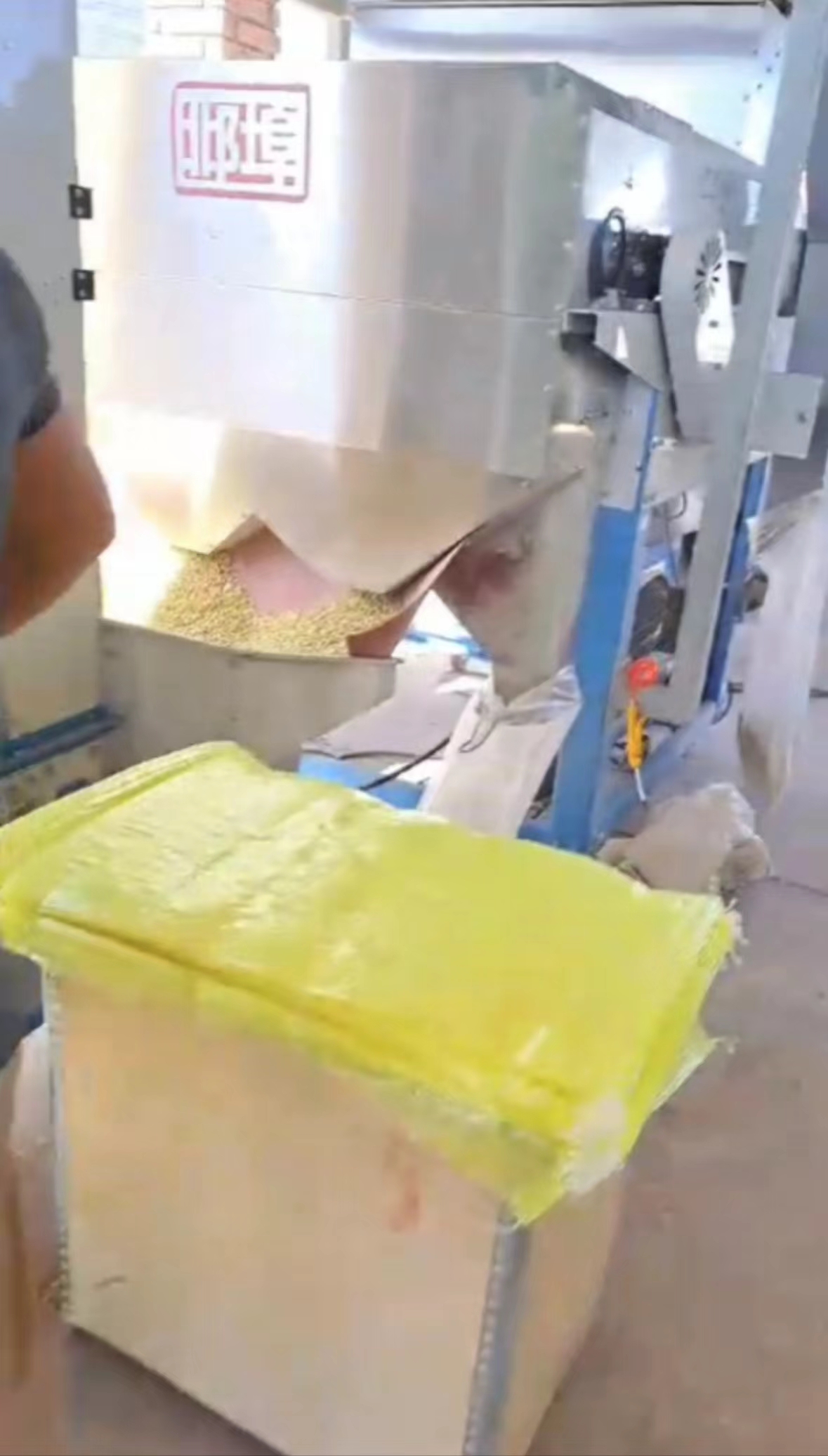 Magnetic separator cleans Frijol reyna in Mexico