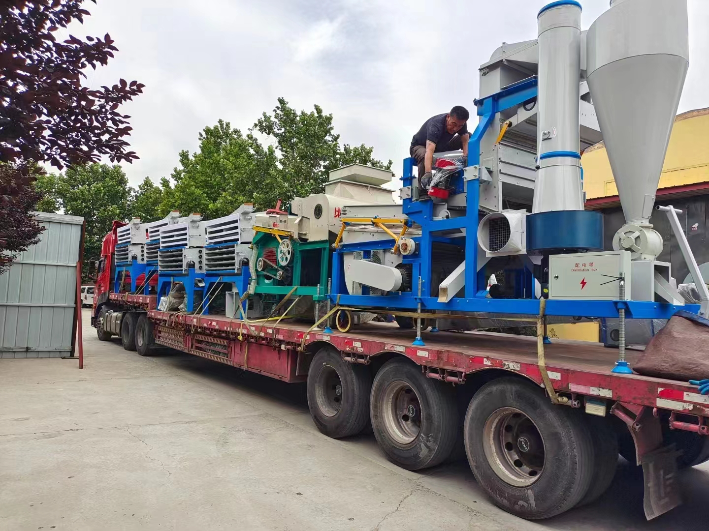 Beibu Machinery helps wheat harvest in China's main wheat producing areas