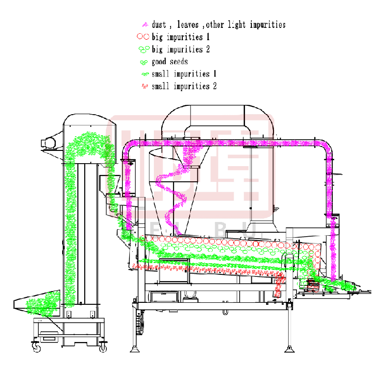 sesame  Chia  Quinoa cleaning machine-hebei beibu machinery