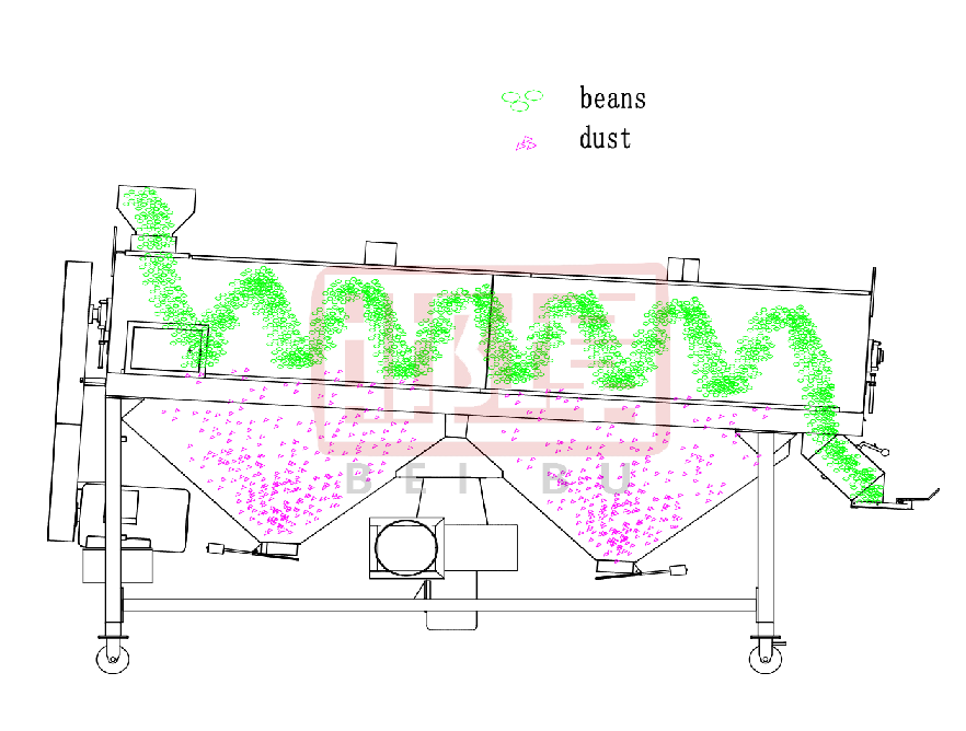 Polishing machines for beans
