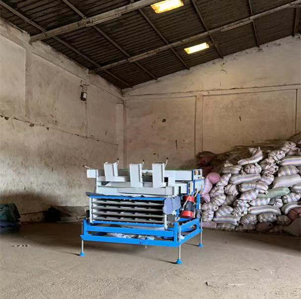 Coffee Bean Cleaing Machine Arrived in Guinea-Hebei Beibu Machinery Technology Co.LTD