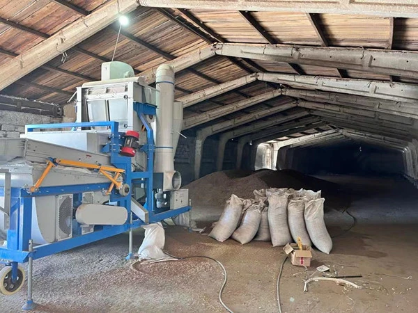 Maize Cleaning Machine-Hebei Beibu Machinery Technology Co.,LTD