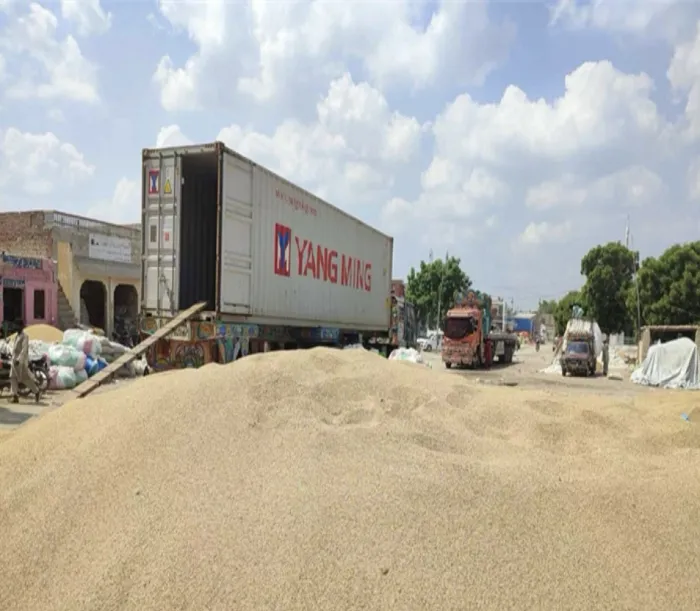 Beibu Machinery helps Pakistan's sesame industry