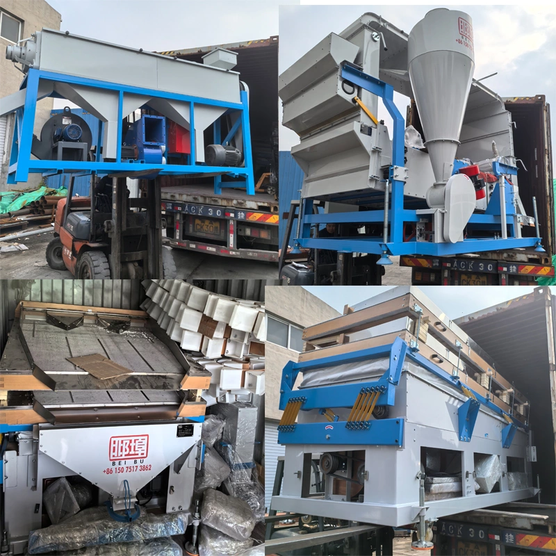 Cassia seed production line