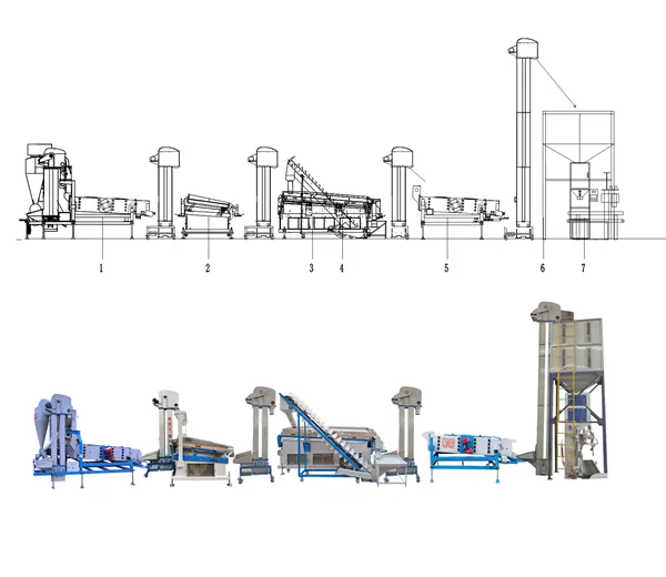 Coffee Bean Cleaning Processing Line in Guinea-Hebei Beibu Machinery Technology Co.,LTD