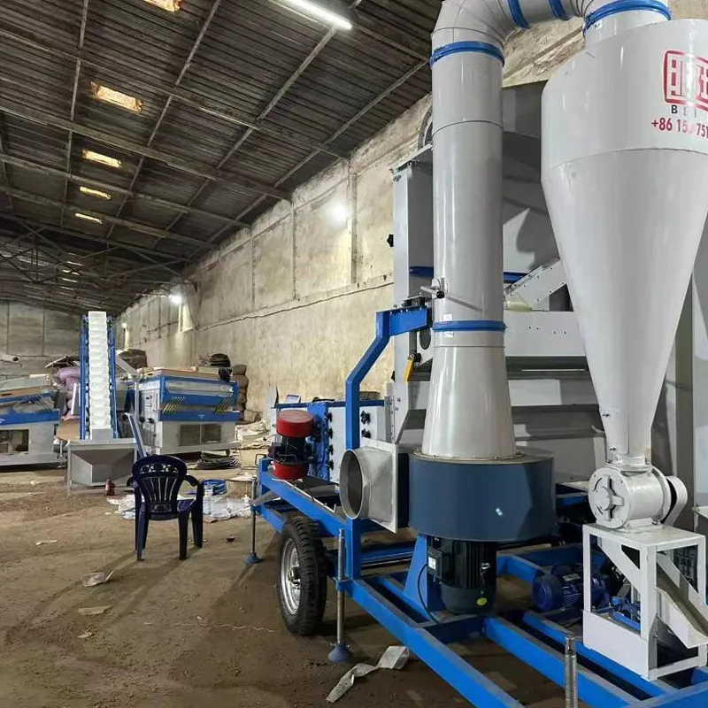 coffee beans cleaning line is being installed