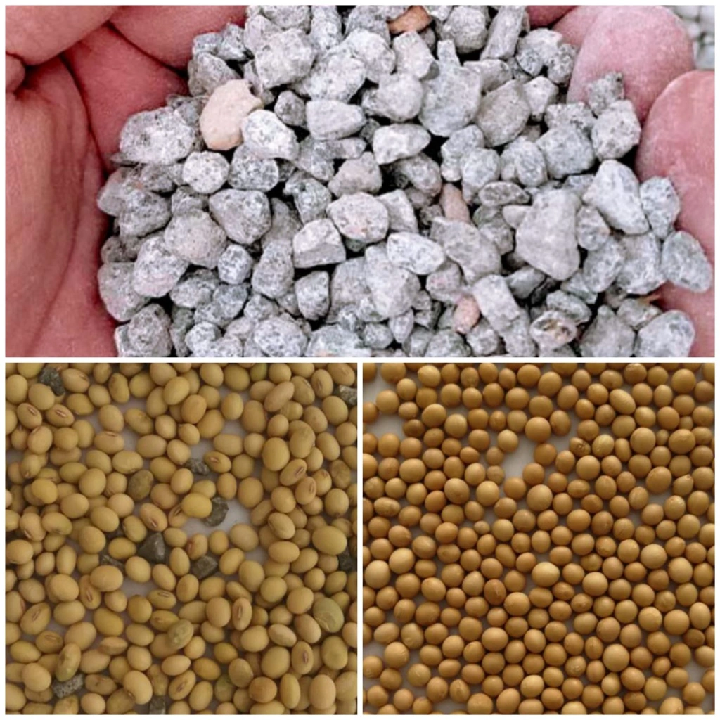 What to do if grain seeds contain high stone content? - Beibu Machinery solves your problems