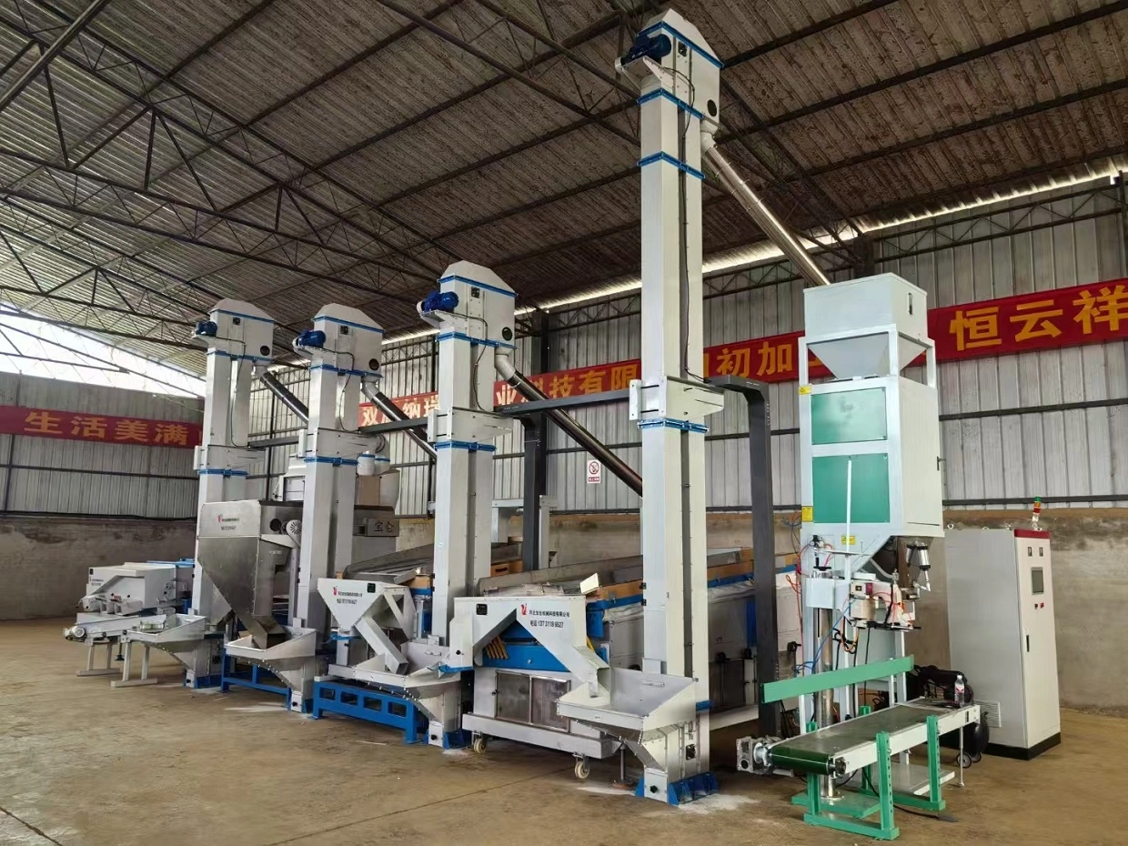 Beibu Machinery-Sesame production line installed