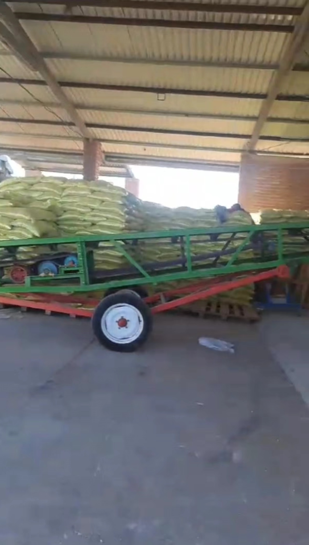 Magnetic separator cleans Frijol reyna in Mexico