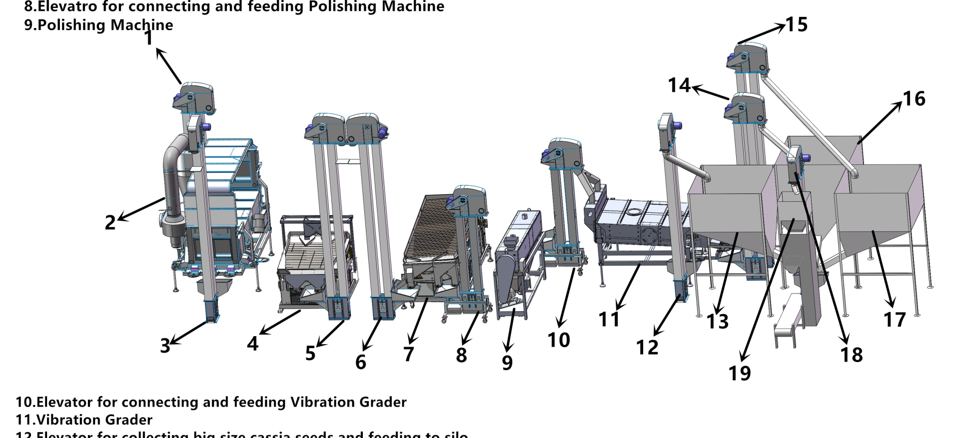 Cassia seed production line