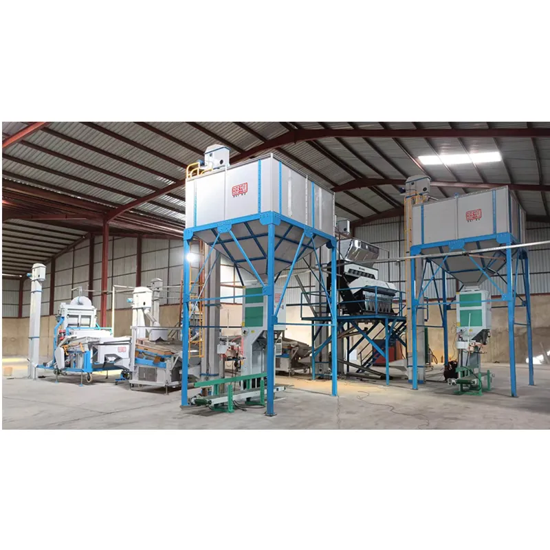 Sesame in Pakistan-Hebei Beibu Machinery Technology Co.,LTD