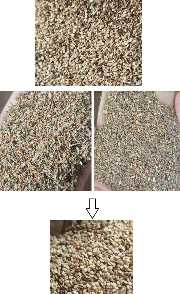 The latest sesame cleaning machine experiment