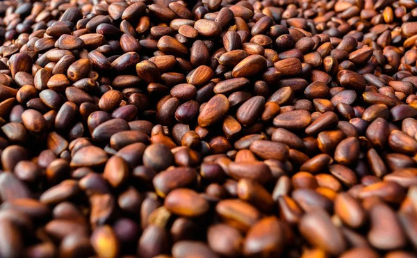 Near to China New Year-Hebei Beibu Machinery Technology Co.,LTD