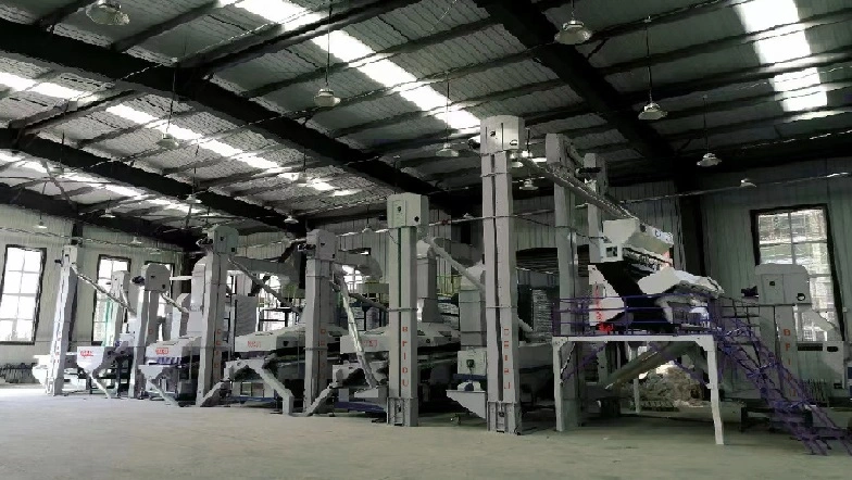 mung bean cleaning line