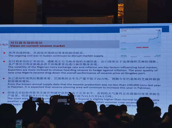 China Sesame Import Data-Hebei Beibu Machinery Technology Co.LTD