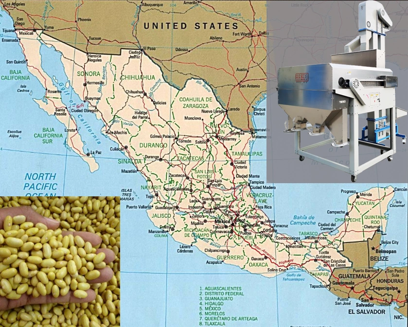 Magnetic separator cleans Frijol reyna in Mexico