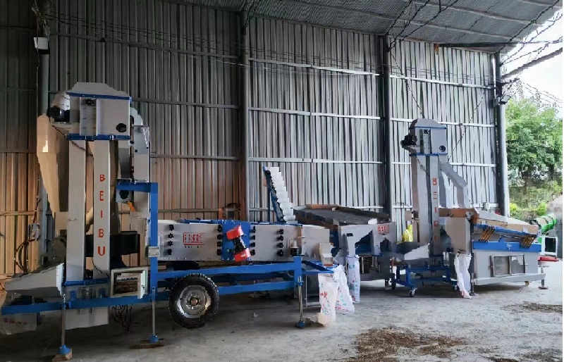 beans cleaning line finish intrallation and testing