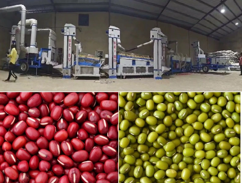 The No. 1 document of 2025 first mentioned 