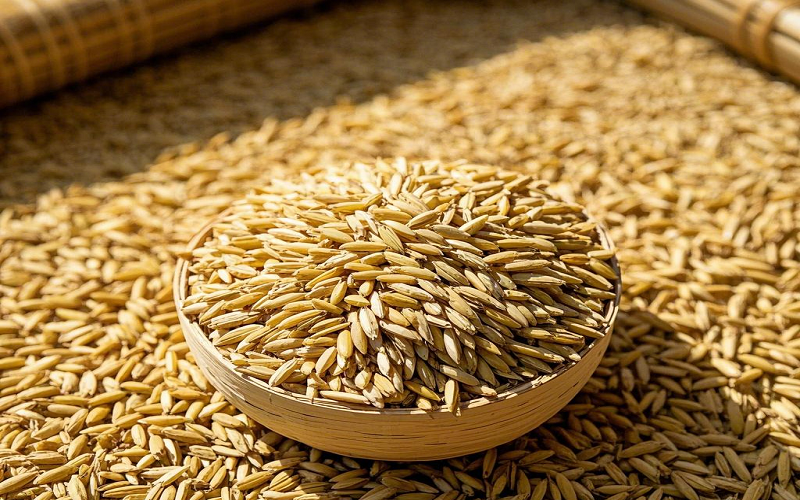 How to choose a suitable Paddy cleaning machine-Beibu Machinery gives you the perfect answer