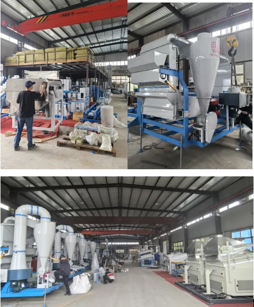 In autumn, busy grain cleaning machines